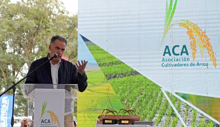 Orsi a los arroceros: “Cuenten con nosotros”