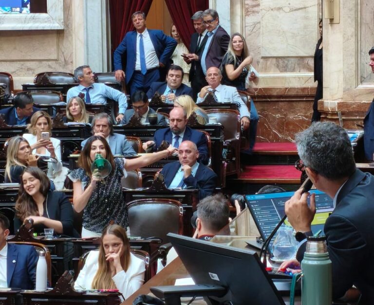 Martín Menem minimizó la pelea en la Cámara de Diputados: “Los ánimos están crispados”