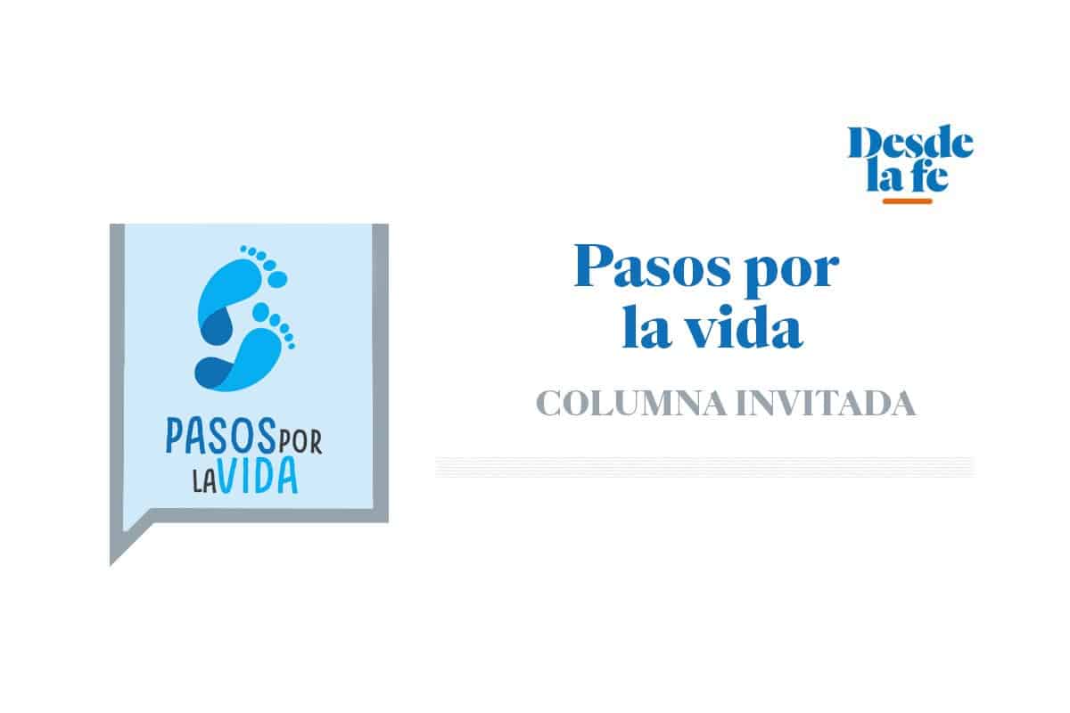 ¿Dónde queda la dignidad de la persona que defiende el aborto? ¿Dónde queda la dignidad de la persona que defiende el aborto?