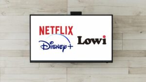 Tengo Netflix en Lowi y quiero incluir Disney+ a mi tarifa: ¿se pueden contratar ambos servicios?