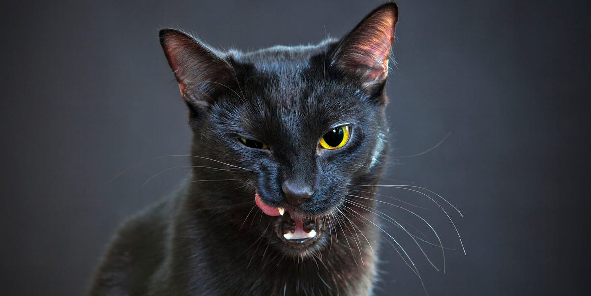 Tradiciones y supersticiones: misterios, creencias y sus orígenes