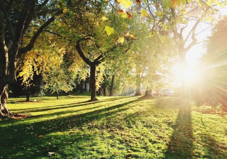 La edad no es un obstáculo – Reflexión para cada día