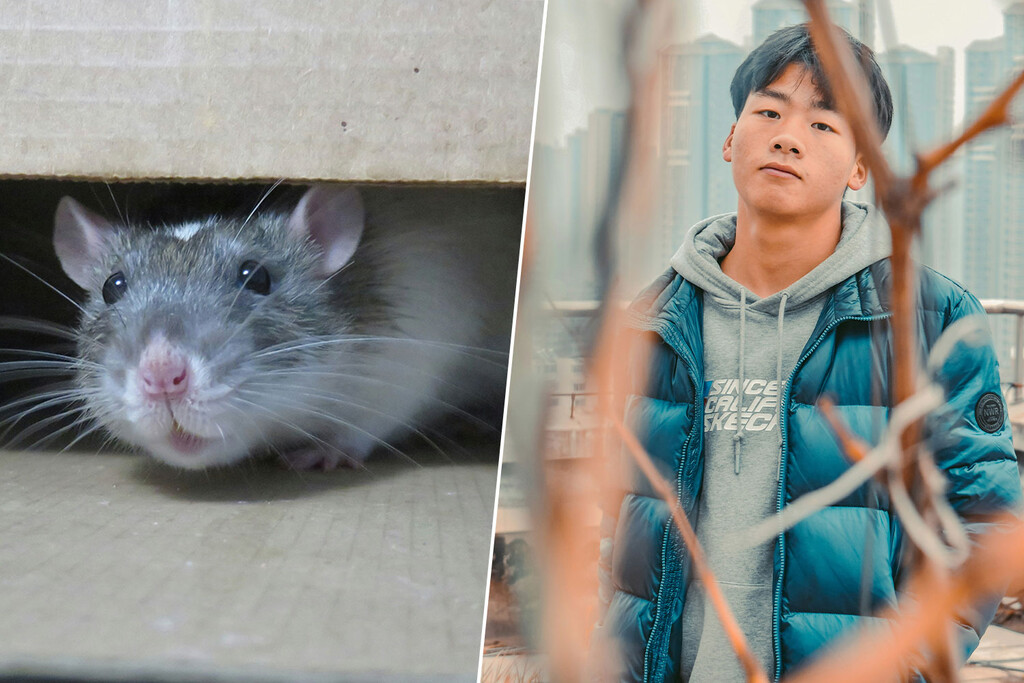 China soñó con el éxito económico a cualquier precio: su generación Z ha respondido convirtiéndose en «gente rata»