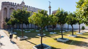 El CEAA presenta a la Junta su proyecto de revitalización del monasterio de San Isidoro del Campo