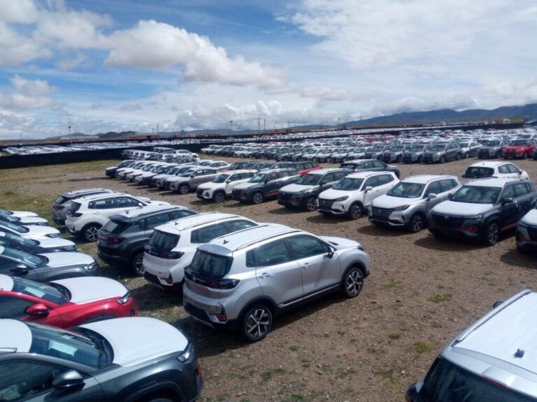 Imcruz marca un hito en el sector automotriz con el primer depósito transitorio de Bolivia