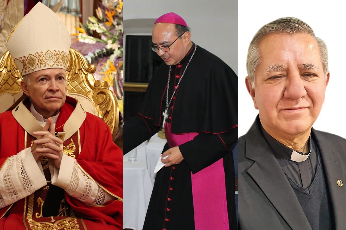¿Cuáles son las diferencias entre monseñor, cardenal y obispo?