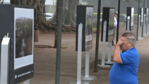 Cuatro relatos de misioneros que pelearon en la Guerra de Malvinas: retratos, sentimientos y el orgullo de haberlo dado todo 