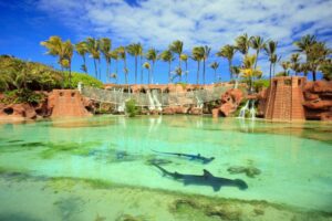 Lugares para visitar en las Bahamas: Enamórate del Caribe