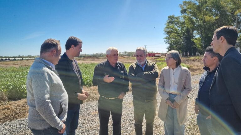 Abad: “Confundir a la gente es faltarle el respeto, Kicillof debe convocar a elecciones de manera urgente”