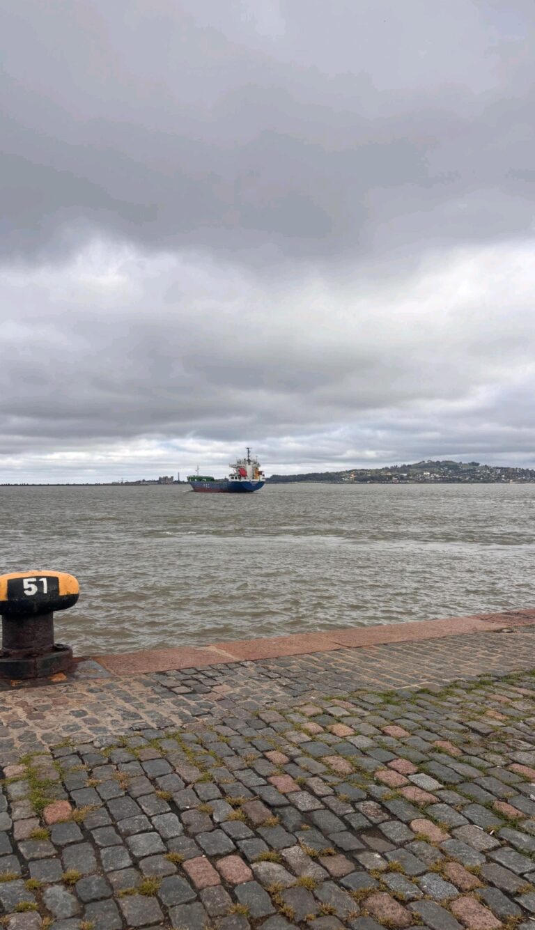 RSC Íntegro: del pasado en Radimon al crecimiento regional con RoRo Shipping Company