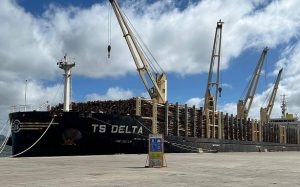 Operativa en el Puerto de Montevideo