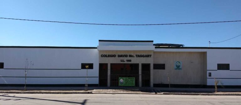 Conocé una escuela única: eco-alumnos, la bandera de Greenpeace y amor por el medio ambiente