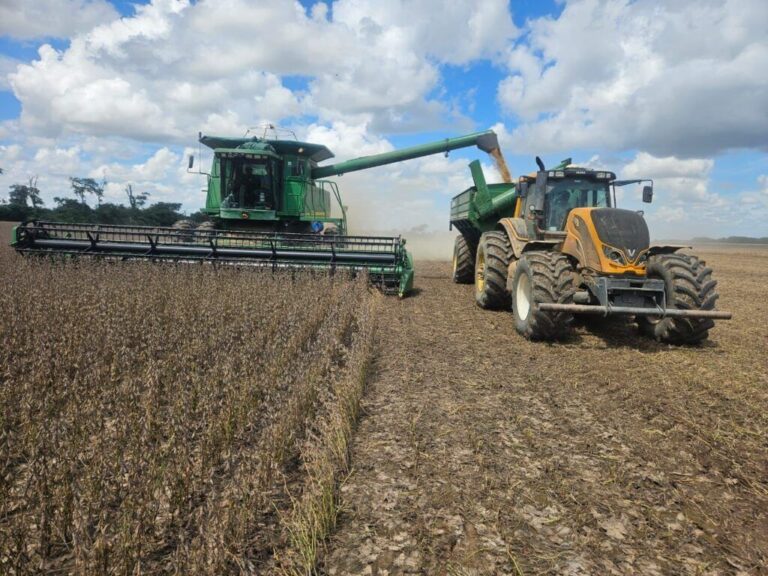 Anapo prevé que la producción de soya llegará a 2,3 millones de toneladas