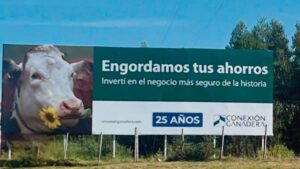 ¿Las vacas lo hunden?