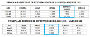 Mercosur: Las exportaciones de carne vacuna de Brasil, Argentina, Uruguay y Paraguay son las más afectadas por el arancel del 10% anunciado por Trump