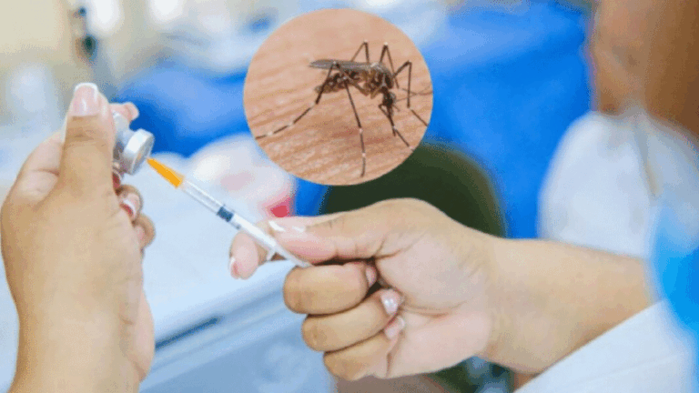 Alertan sobre circulación de fiebre amarilla en zonas fronterizas con Venezuela