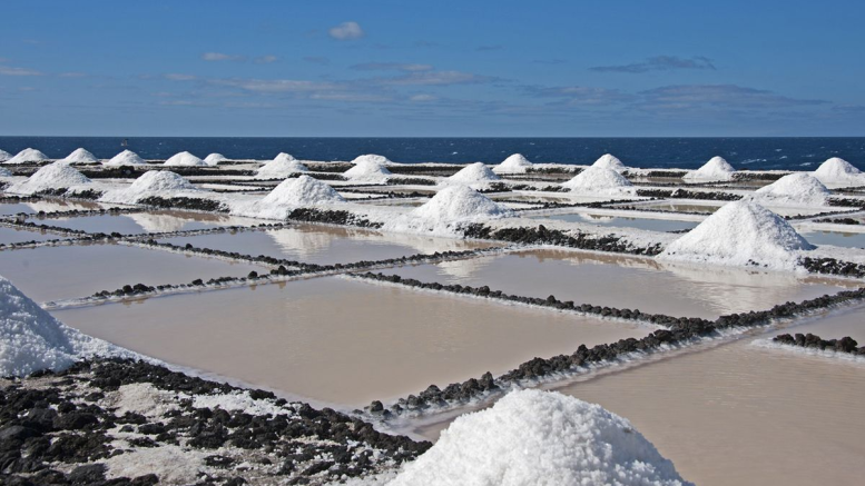 Nueva Esparta Impulsa la Producción de Sal en Coche con Alianza Estratégica Público-Privada Nueva Esparta Impulsa la Producción de Sal en Coche con Alianza Estratégica Público-Privada