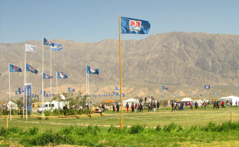 El histórico INTA, como botín de guerra: Disputa abierta en los altos mandos de Economía para disponer del orgullo del sector agropecuario nacional