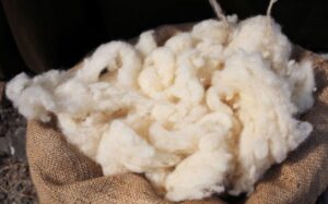 La guerra comercial no rompe con la estabilidad de la lana