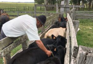 Ordenar la casa, desconfiar de las regionales y estar en contacto directo, el planteo al nuevo directorio de Colonización