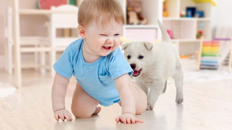 Razas de perro ideales para niños: guía completa para elegir al mejor compañero