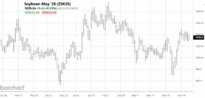 Por el momento el mercado global de soja regresó a la “normalidad” gracias al aporte de la Argentina