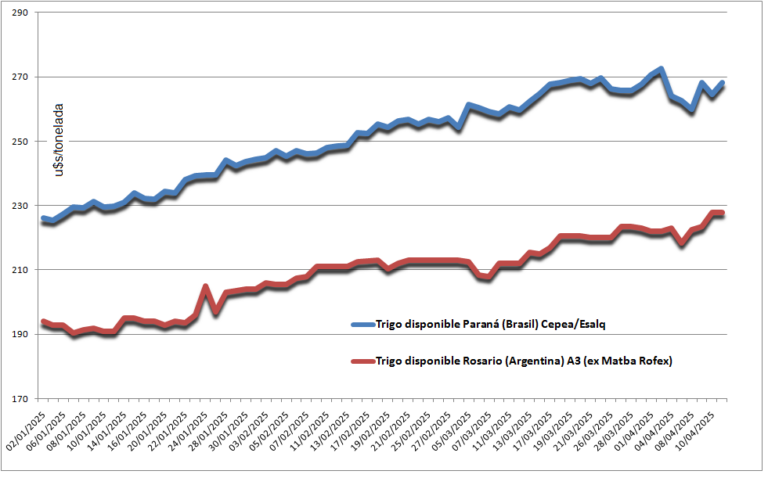 Brasil se quedó sin trigo y el mercado regional del cereal está “a punto caramelo” para consolidar una tendencia alcista de precios
