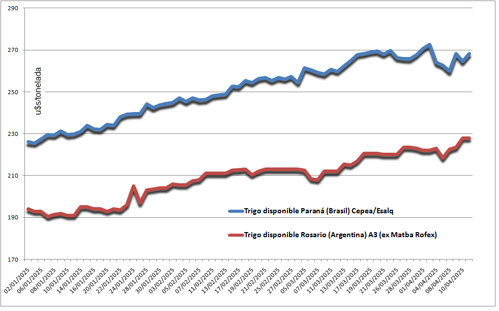 Brasil se quedó sin trigo y el mercado regional del cereal está “a punto caramelo” para consolidar una tendencia alcista de precios