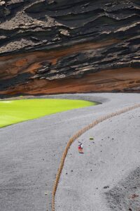 ʼCiudades que están adoptando techos verdes obligatorios para combatir el calorʼ