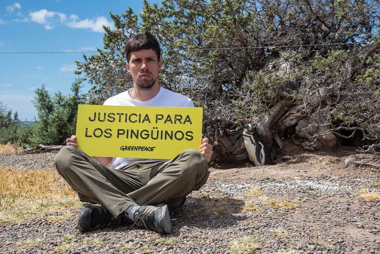 “La justicia reafirmó el fallo histórico por la masacre de pingüinos en Punta Tombo” 
