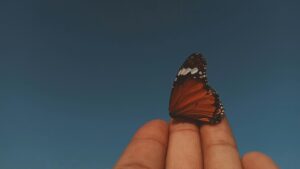 El poder transformador de las minorías disidentes