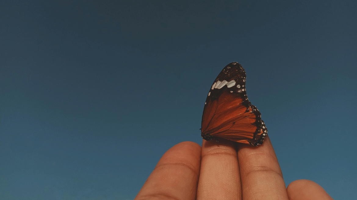 El poder transformador de las minorías disidentes