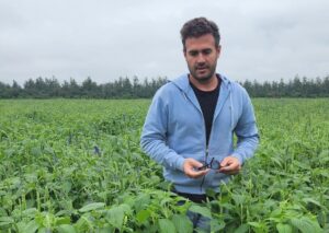 Emprendedores de elite: La historia de dos jóvenes que volvieron de Estados Unidos para producir chía en Salta, vender bonos de carbono y exportar “specialities” a mercados de punta