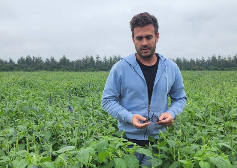 Emprendedores de elite: La historia de dos jóvenes que volvieron de Estados Unidos para producir chía en Salta, vender bonos de carbono y exportar “specialities” a mercados de punta