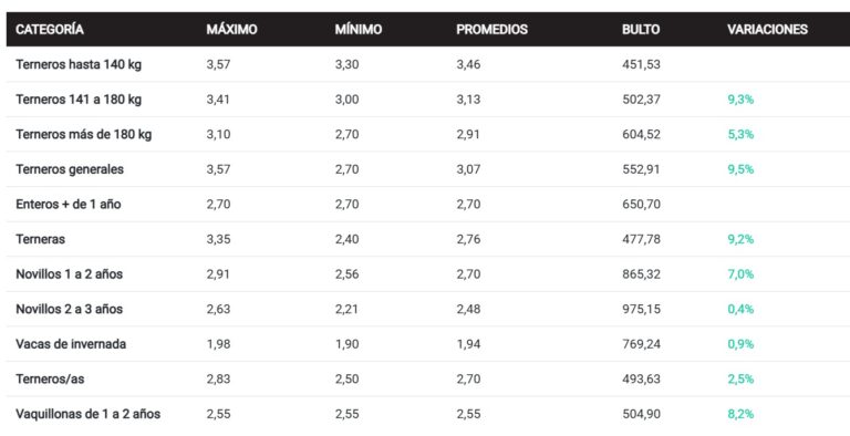 Lote 21 de Uruguay piso fuerte por segundo año en la Angus de Palermo con muy buenas ventas y precios