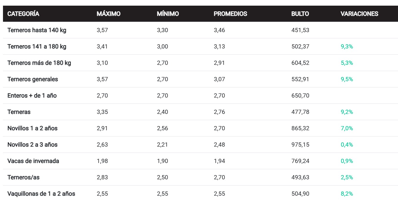 Lote 21 de Uruguay piso fuerte por segundo año en la Angus de Palermo con muy buenas ventas y precios Lote 21 de Uruguay piso fuerte por segundo año en la Angus de Palermo con muy buenas ventas y precios