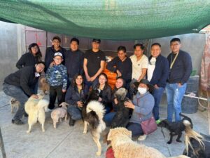 Colaboradores de Banco BISA llevan esperanza a los “Peluditos de la Calle” en Oruro