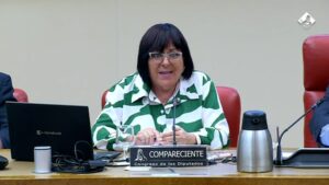 El CGE reclama más protagonismo de la Enfermería de Salud Mental en el Congreso