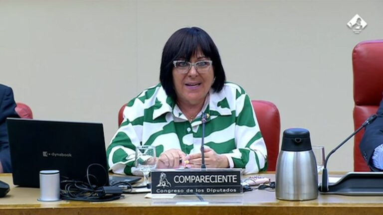 El CGE reclama más protagonismo de la Enfermería de Salud Mental en el Congreso