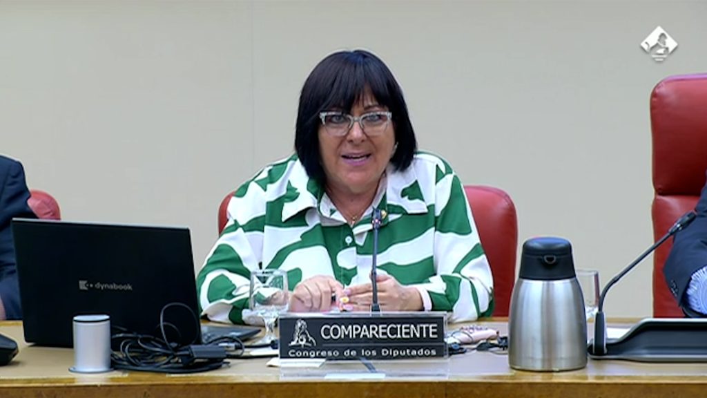 El CGE reclama más protagonismo de la Enfermería de Salud Mental en el Congreso