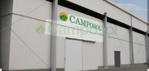 Empresa citrícola Camposol /Reincorporan a 200 trabajadores despedidos
