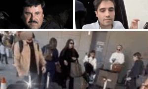 La caída de un peligroso imperio: Se entregaron 17 familiares del Chapo Guzmán a las autoridades estadounidenses