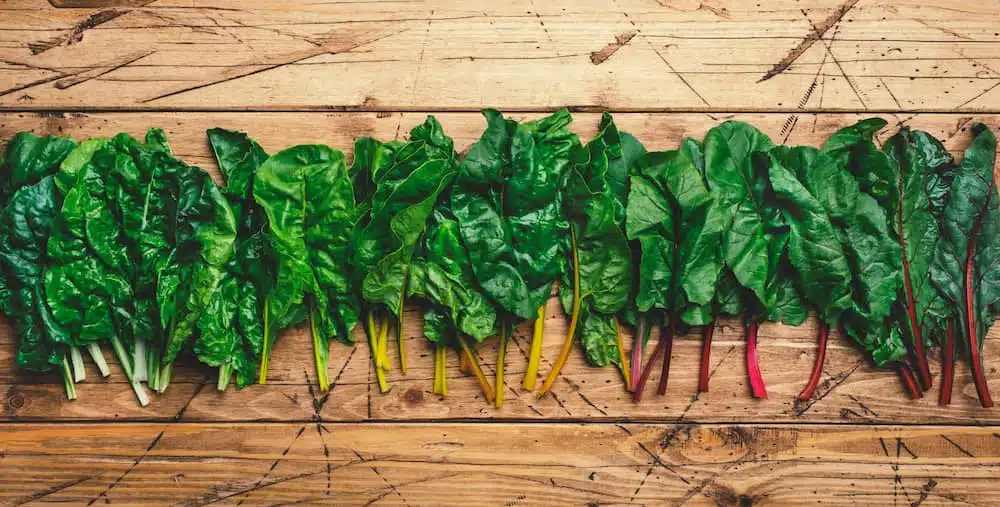 Torrejas de Acelga: Todos los secretos de una receta fácil y rendidora