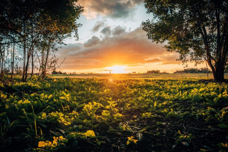 Quintas Pellice: Habitar la tierra, vivir el paisaje