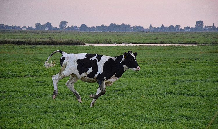 La Corrida ya llegó a Berrutti, ¿y sigue?