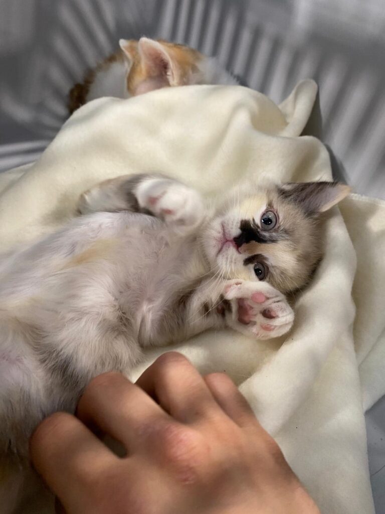 Historias que dejan huella: Rut y Valkyria