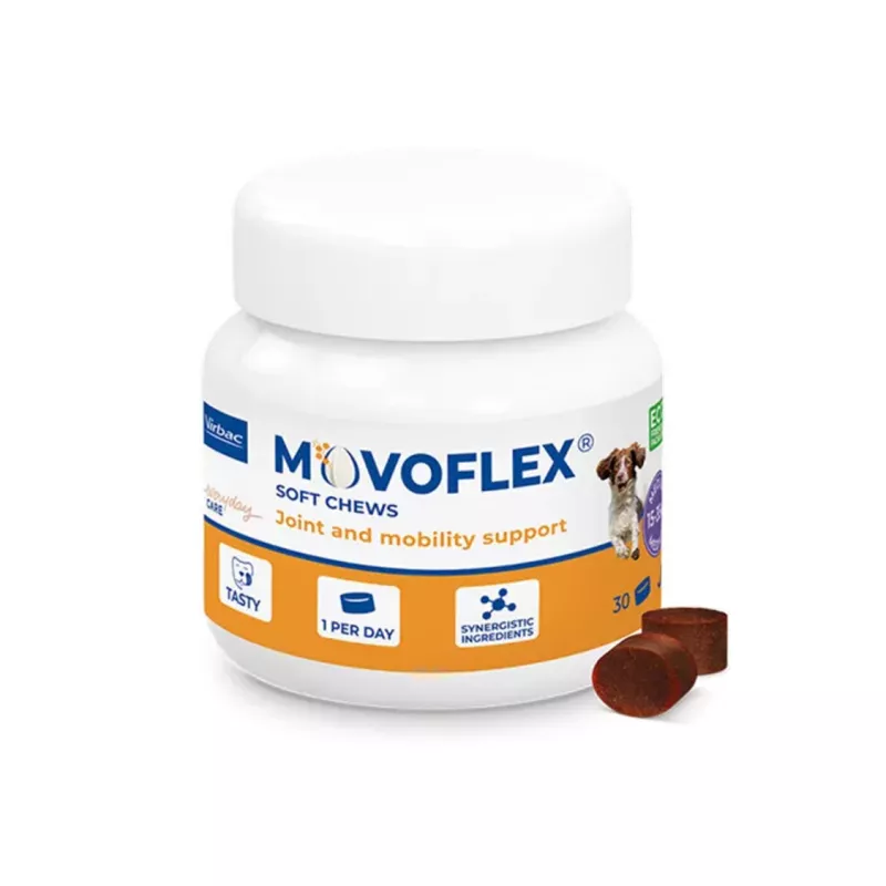 Importancia de los complementos alimenticios para mascotas