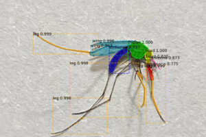 ¿Cómo predecir la próxima epidemia? Para unos investigadores la solución es muy sencilla: utilizando la IA