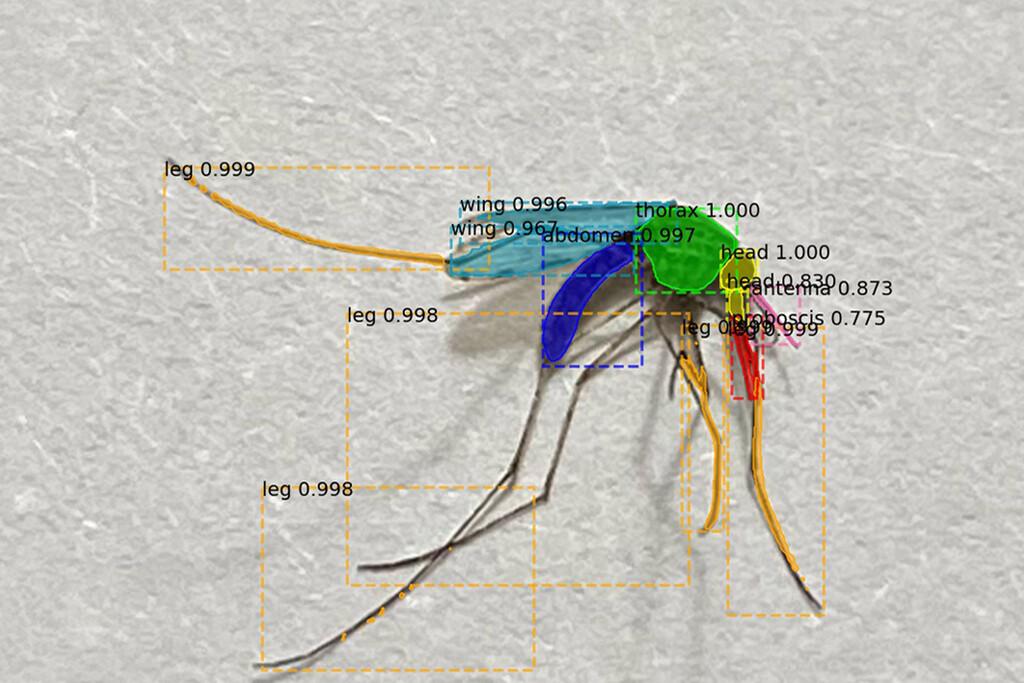 ¿Cómo predecir la próxima epidemia? Para unos investigadores la solución es muy sencilla: utilizando la IA