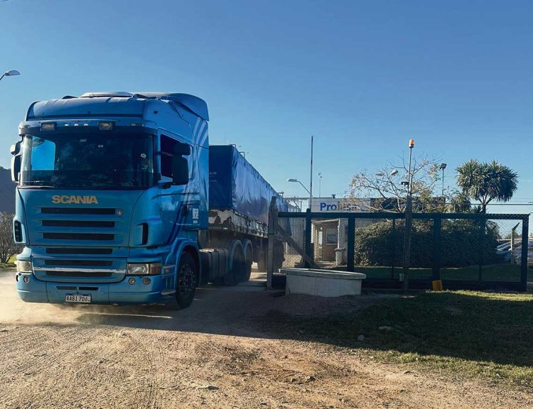 Importación de granos de la región deja fuera de competencia a los productores locales